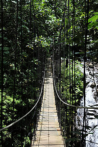 Hängebrücke in El Tiger Reservat