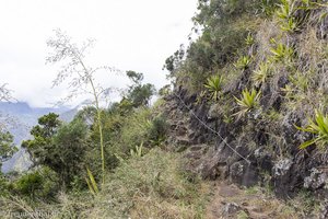 Wanderweg um das Cap Noir im Talkessel von Mafate