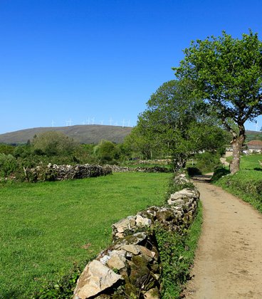 Etappe von Ferreira nach Melide