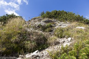 Noch ein Blick hinauf zur Kühgundspitze