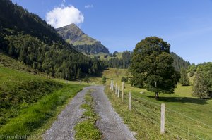 Auf dem Weg zum Isetwald