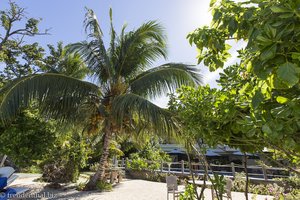 Strand beim Crown Beach Hotel