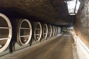 Mit dem Auto fahren wir vorbei an Hunderten von Barriques von Milestii Mici..