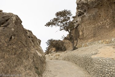 beim Aussichtspunkt Jabal Samhan im Oman