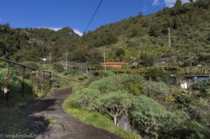 Durch die Bananen- und Avocado-Plantagen in die Schlucht