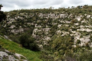 Blick in die Schlucht unterhalb von Noto Antica