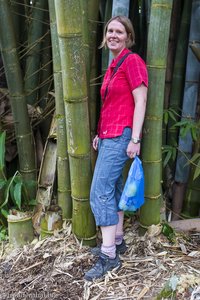 Anne vor dem Riesenbambus auf La Réunion