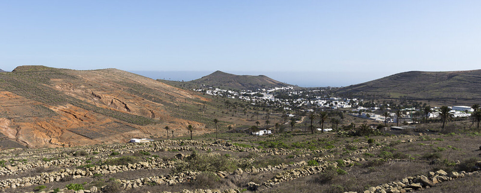 Tausend oder 10.000 Palmen bei Haría auf Lanzarote