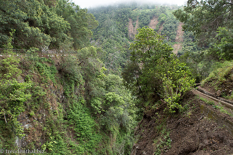 Schlaufe an der Levada do Castelejo