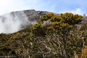 Blick auf den Kinabalu