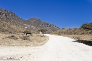 Schotterpiste im Tal zum Al Fazayah Beach im Oman
