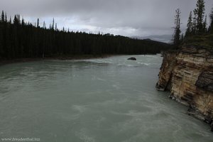 Athabasca River unterhalb der Wasserfälle