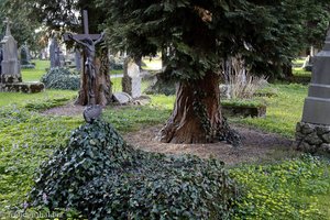 Sebastiansfriedhof