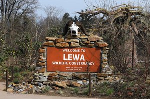Lewa Savanne im Zürcher Zoo