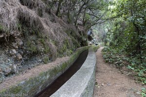 Start der Wanderung an der Levada beim Casa del Monte