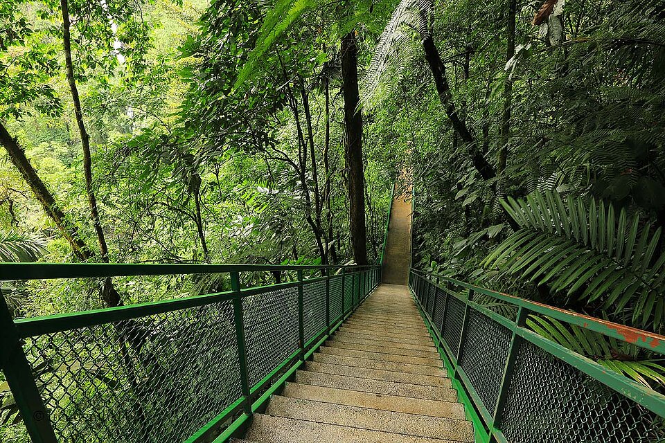 Treppe hinunter zum Catarata Rio Fortuna, Costa Rica