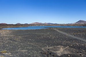 Die Lagune von Janubio ist heute den Vögeln vorbehalten.