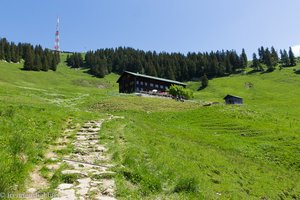 Aufstieg zum Grüntenhaus