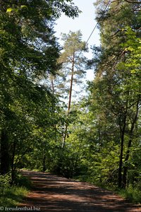 schöne Waldwege laden zum Spaziergang ein auf der Museumsinsel Bygdøy in Oslo