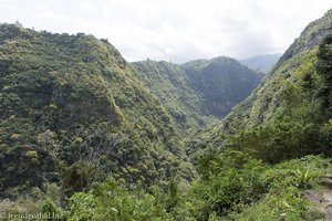 Schlucht des Bras de la Plaine auf Réunion
