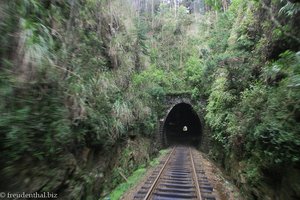 zahlreiche Tunnels charakterisieren die Strecke nach Ella