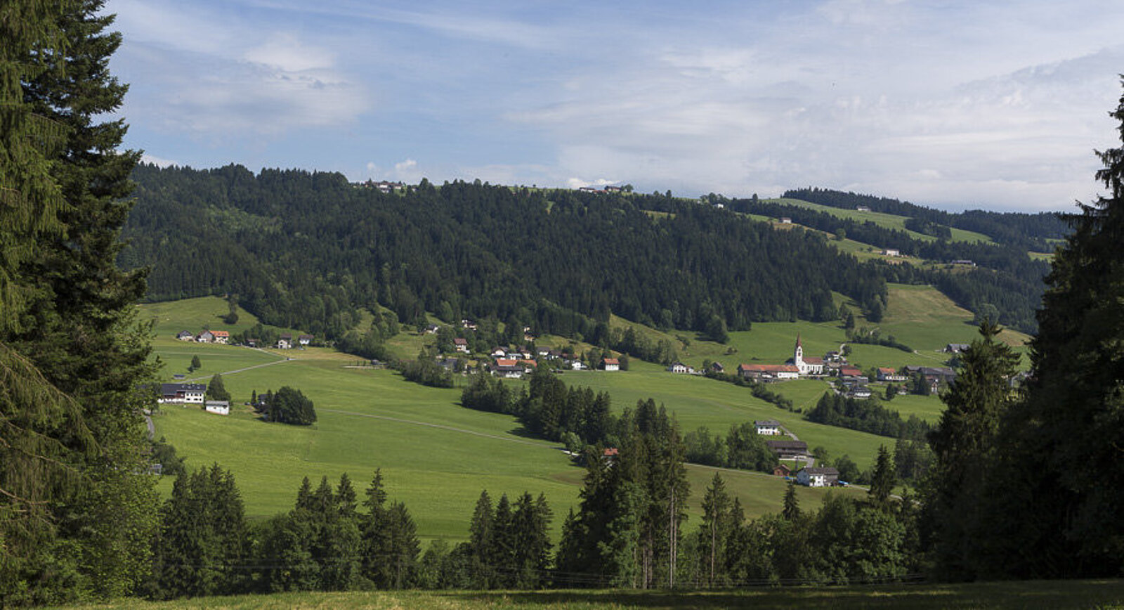 Aussicht bei Scheffau über die Hügellandschaft im Westallgäu