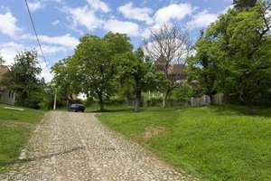 Typische Dorfstraße von Viscri