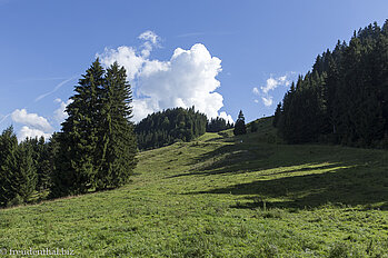 Wiesenweg