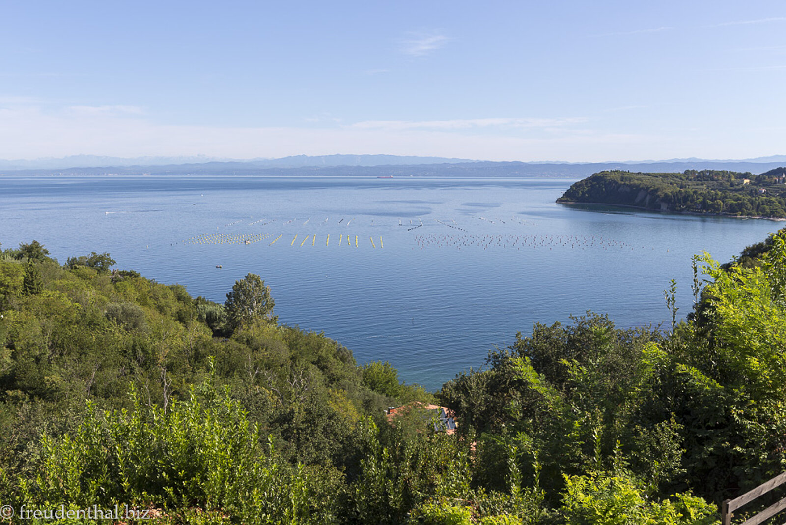 Aussicht vom Wanderweg nach Izola über eine von Wäldern umgebene Bucht an der slowenischen Küste