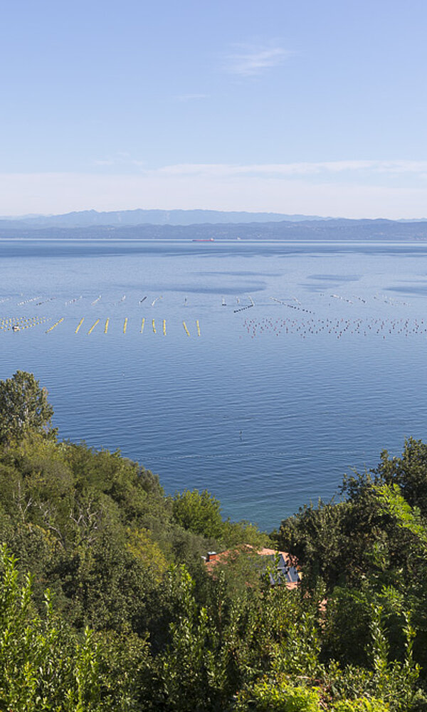 Adriaküste - Slowenisches Istrien