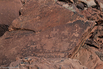 Felsgravuren bei Twyfelfontein