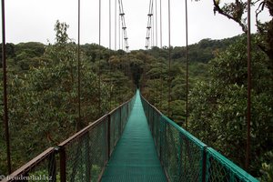 auf zur Hängebrücke Nr. 5 - Selvatura Park Costa Rica