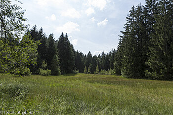 Wanderung über das Lindenberger Moos