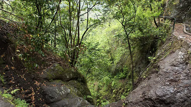 Rückweg entlang der Levada