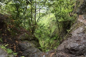 Wieder auf dem Rückeweg an der Levada do Castelejo.