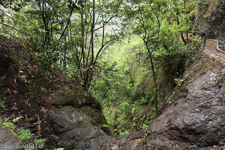 Rückweg entlang der Levada