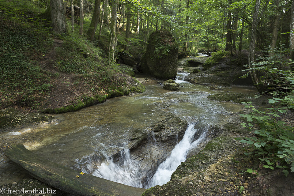 Der Rickenbach bildet die Scheidegger Wasserfälle im Westallgäu.
