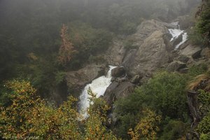 Herbstliche Burkhardklamm