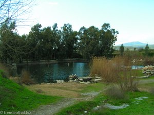 Teich beim Artemis-Tempel bei Ephesos
