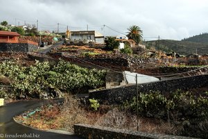 Straße nach El Jaral