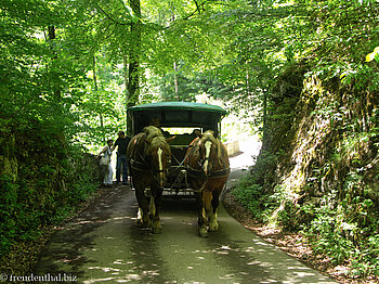 Kutsche