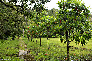 leicht überfluteter Weg zu den Park Chalets