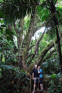 Lars und Anne beim ersten Kapokbaum auf dem Sendero El Ceibo