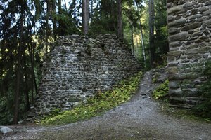 bei der Burgruine Reifenegg