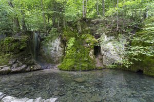 Das eiskalte Wasserbecken beim Gütersteiner Wasserfall