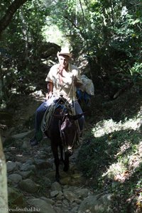 Pferd auf dem Weg zur Comandancia