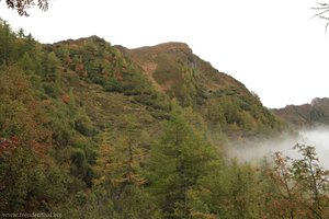 auf dem Rückweg von der Vallmingalm