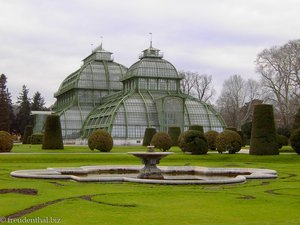 Aussenansicht vom Palmenhaus Schönbrunn