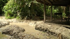 natürliches Schlammbad in einem Vulkan auf Pulau Tiga