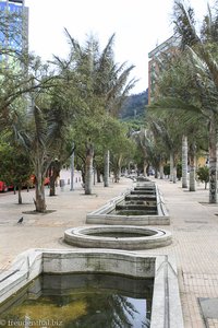 Palmen-Allee nahe dem Hotel BH Bicentenario in Bogota